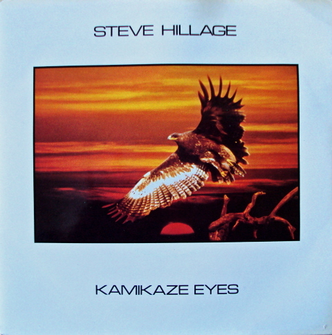 Steve Hillage "kamikaze eyes"  Extended